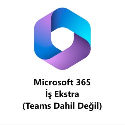 Microsoft 365 İş Ekstra (Teams dahil değil)